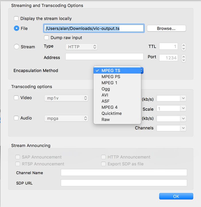Streaming and Transcoding Options