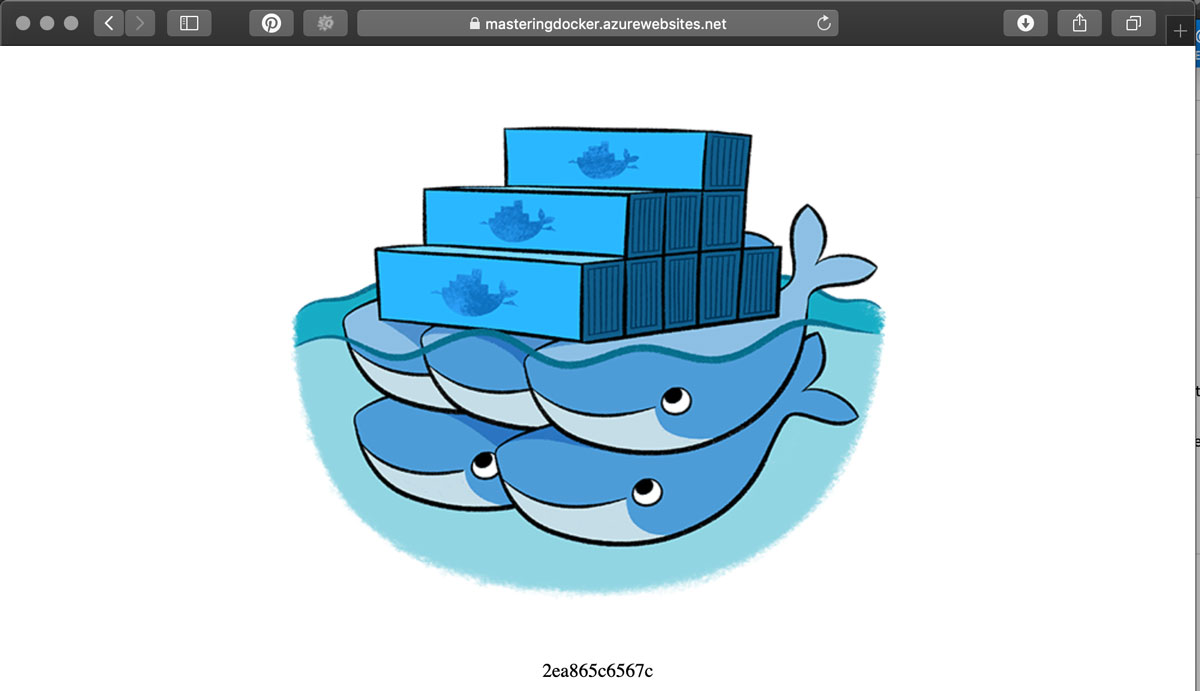 精通Docker第三版 – 第十章 在公有云上运行Docker